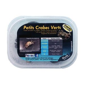 Petits crabes verts Ready-X pour la pêche en mer