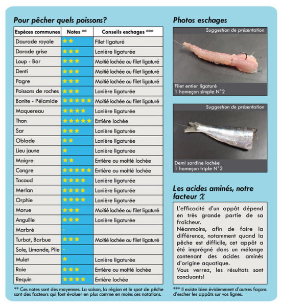 sardines surgelées 10 kg appât mer